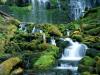 Proxy Falls, Cascade Range, Oregon